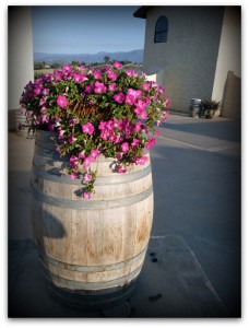 Barrel Flowers