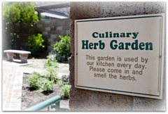 T - herb garden