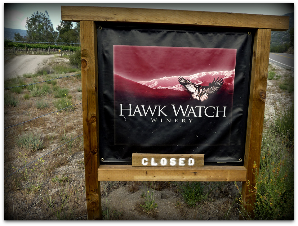 hawk-watch