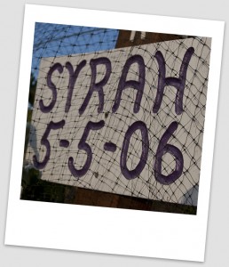 syrah signp