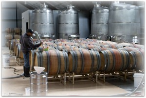 Venge Vineyards barrels and tanks