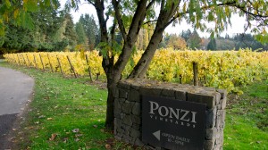 Wineormous-Ponzi-Winery in Oregon's Willamette Valley