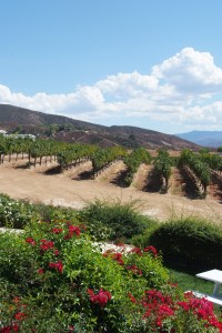 Picturesque scenery at Leoness Cellars in the heart of Temecula Wine Country