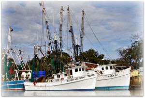WINEormous shrimp boats in Darien, GA