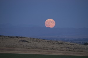 WINEormous Idaho moonrise