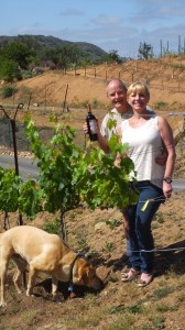 WINEormous at Highland Valley Vineyards