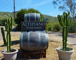 WINEormous at Altipiano Winery