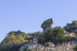 WINEormous at Turtle Rock Ridge