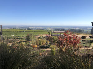 Temecula Winery Tours visits Willamette Valley