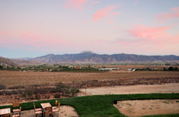 WINEormous at Decantos Winery Sunset View