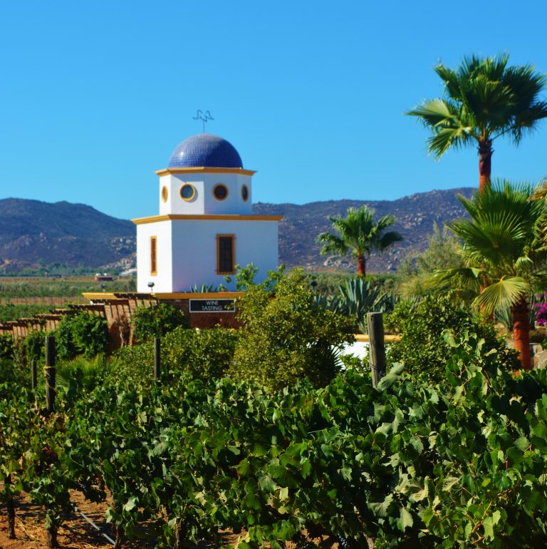 Adobe Guadalupe: Baja California’s Wine Gem - WINEormous